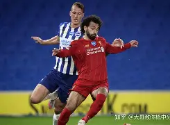 kaiyun sports-窗口期足总杯焦点战，本菲卡迎来里程碑，悬念犹存，年轻球员得到机会(良禽择木而栖的下一句话是什么)